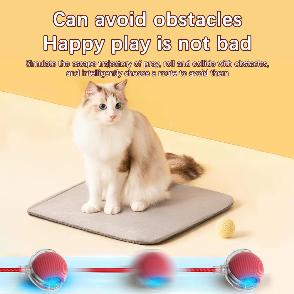 Interactive Cat Rolling Ball Super Drive Cat Rolling Balls with Bird Chirping Motion Activated Sensor Pet Kitten Teaser Game Toy